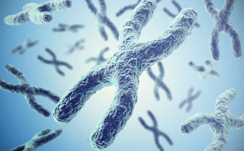Decoding Chromosomal Abnormalities in Acute Leukemias  – Implications for Diagnosis and Prognosis